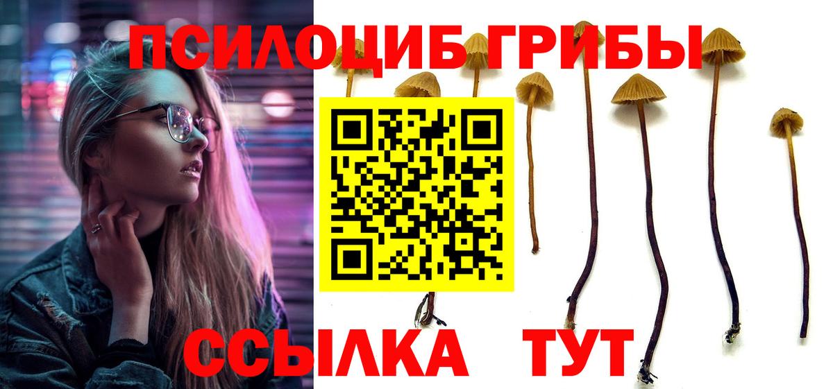 Псилоцибиновые грибы Magic Shrooms  купить закладку  Озёры  Вход с VPN 