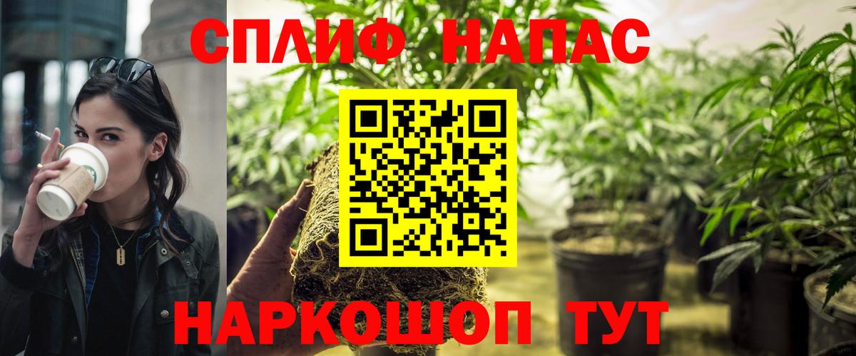 Шишки марихуана OG Kush Озёры